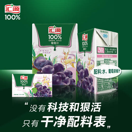 汇源果汁 100%葡萄汁  200ml*24盒 商品图0