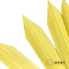 永生花材 | 棕榈叶黄色 商品缩略图3
