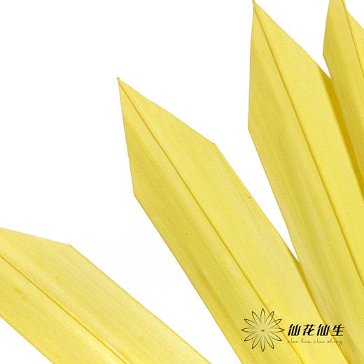 永生花材 | 棕榈叶黄色 商品图3