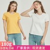 2024新款高端棉t恤女短袖纯色半袖圆领套头免烫新疆棉索罗娜t恤女 商品缩略图0