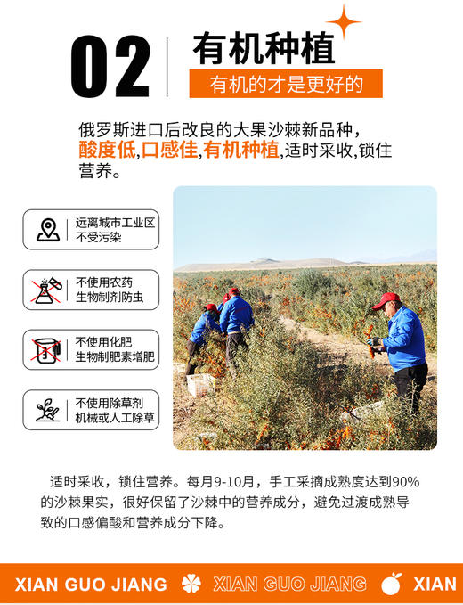 鲜时力沙棘果浆后生元饮品 商品图9