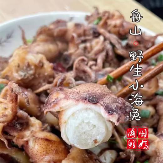 【闹妈海鲜】鲜冻东海舟山野生小海兔，一斤一盒50只左右 商品图3