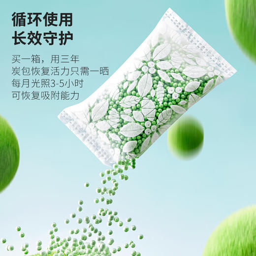 绿之源全新活性炭除甲醛新房新车除异味车用甲醛清除剂净化绿净王3200g 商品图4