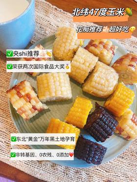 连获2次国际食品大奖🏆的🌽❗️央S推介👍花痴重磅推介chao好吃！【北纬47度玉米】3小时锁鲜，还原食物本味❗️无添加0农残，非转基因，老少皆宜，减脂早餐bi备粗粮