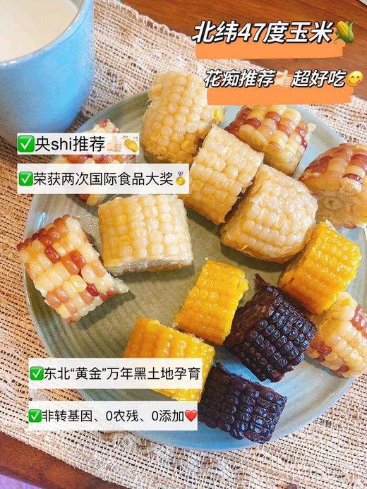 连获2次国际食品大奖🏆的🌽❗️央S推介👍花痴重磅推介chao好吃！【北纬47度玉米】3小时锁鲜，还原食物本味❗️无添加0农残，非转基因，老少皆宜，减脂早餐bi备粗粮 商品图0