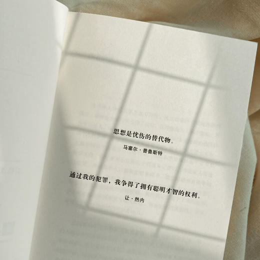 自由活动时间：一位监狱哲学教师的回忆录（边缘人思想群态，现实版《肖申克的救赎》）（英）安迪·韦斯特 著 商品图6