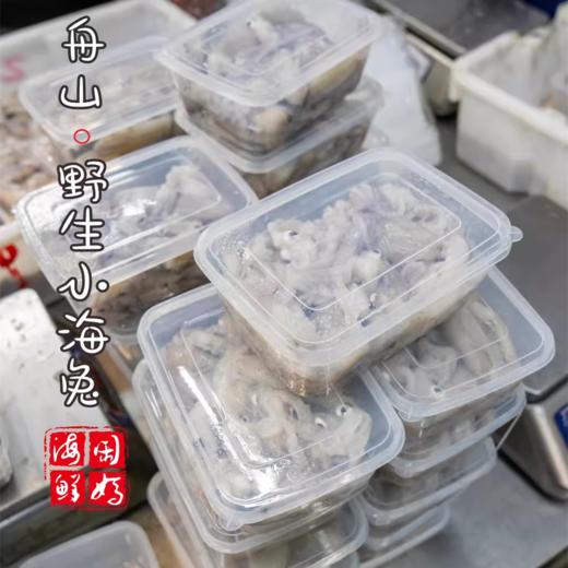 【闹妈海鲜】鲜冻东海舟山野生小海兔，一斤一盒50只左右 商品图1