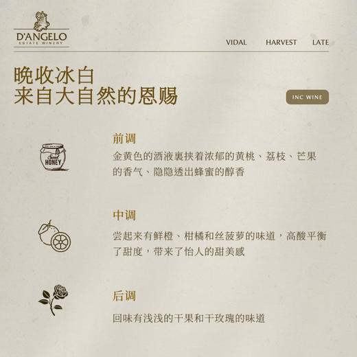 【液体黄金 加拿大原瓶进口】帝安吉乐晚收冰白葡萄酒 源自冰酒之乡加拿大 12.5%vol 商品图1