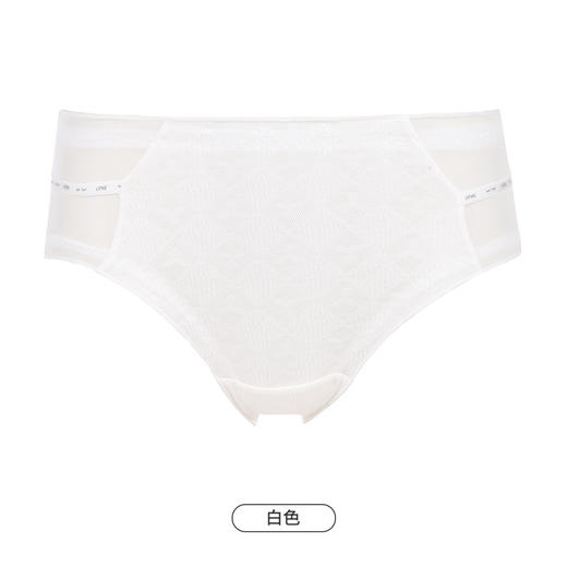 都市丽人时尚系列舒肤棉内裤女棉提花纯棉女士内裤低腰三角内裤LK43D3 商品图11