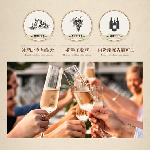 【液体黄金 加拿大原瓶进口】帝安吉乐晚收冰白葡萄酒 源自冰酒之乡加拿大 12.5%vol 商品图2