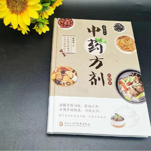中药药方剂轻图典 精装 商品图4