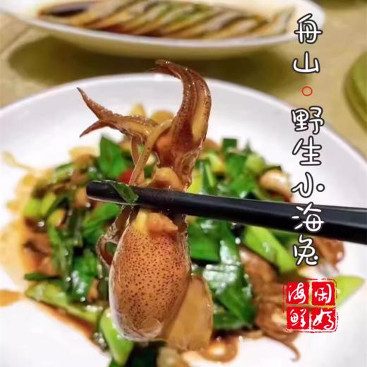 【闹妈海鲜】鲜冻东海舟山野生小海兔，一斤一盒50只左右 商品图2