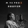 beyerdynamic拜雅动力 M90 PRO X 电容麦克风 专业录音棚麦克风 直播K歌录音话筒 商品缩略图2