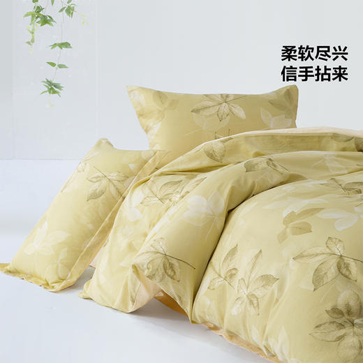 百丽丝家纺三/四件套全棉套件家用床单被套纯棉花卉床上用品 商品图2