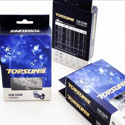 中坚进口链条（上市企业） 商品图1