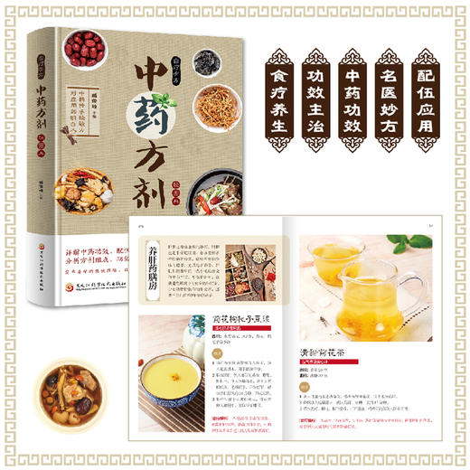 中药药方剂轻图典 精装 商品图7