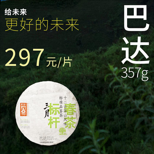 【福元昌古树】2024年三月系列-巴达357g生饼 商品图0