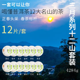 【福元昌古树】2024年三月系列-十二山套装 357g/饼*12
