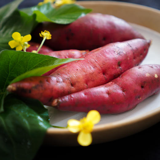 L天目小香薯 商品图2