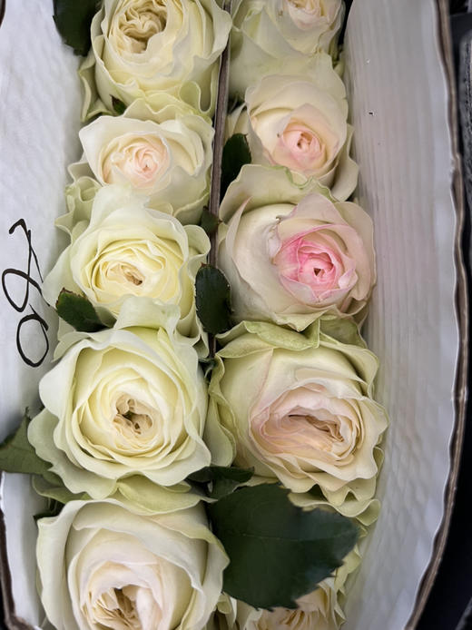 国产玫瑰-【泰勒】单头 商品图3