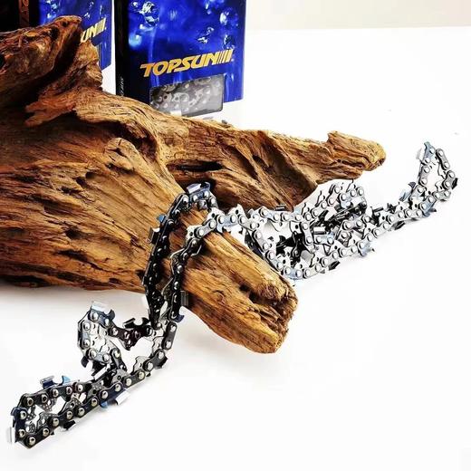 中坚进口链条（上市企业） 商品图3