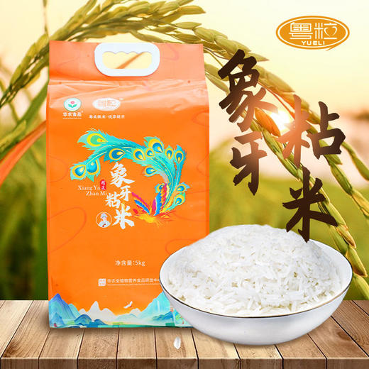 【华农】象牙粘米5kg 商品图3