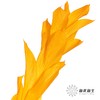 永生花材 | 桔子叶黄色 商品缩略图0