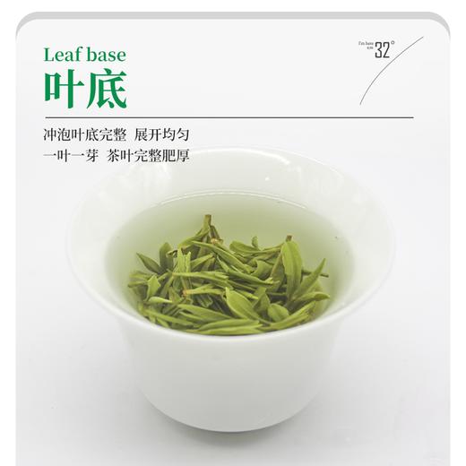 2024明前春茶新茶高山云雾茶绿茶A扁252g盒装 商品图4