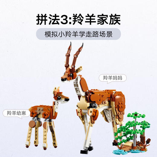 乐高积木L31150乐高百变创意系列野生动物 商品图4