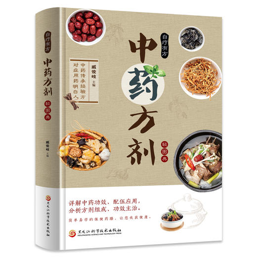 中药药方剂轻图典 精装 商品图8