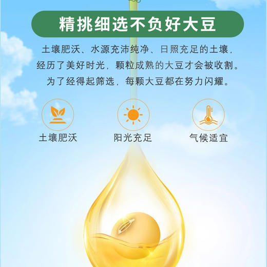 陈克明大豆油 非转基因 物理压榨一级 商品图2