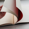 瑞士原版 | 勒·柯布西耶的色彩系统 （一套三卷：一卷简介，两卷色卡） Le Corbusier Polychromie Architecturale 商品缩略图10