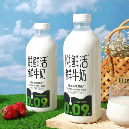 买十送二共十二瓶 悦鲜活 鲜牛奶950ml 商品图3