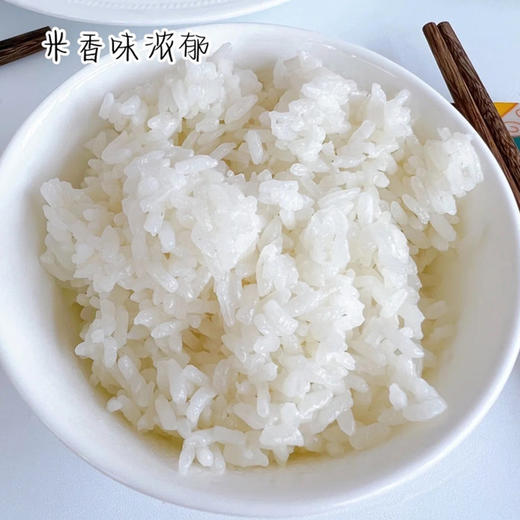 黑土长粒稻香米  黑龙江北大荒八五五农场 商品图2