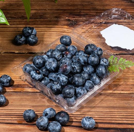 新疆喀什蓝莓 新疆美食新疆礼物 商品图3