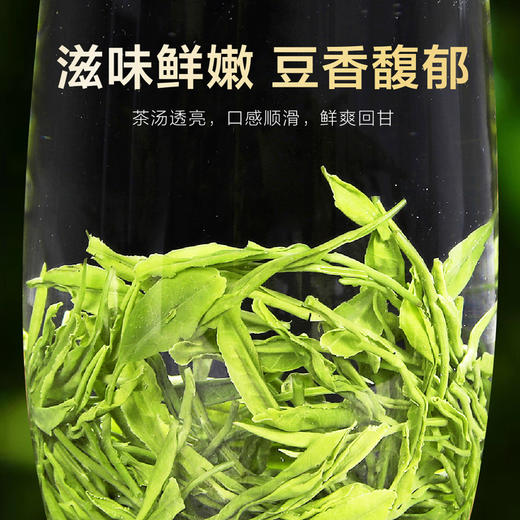 2026新茶 悠谷绿茶 830（高香绿茶）250克 芽细香悠 香甜顺滑 商品图3