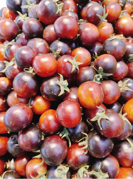 黑珍珠柿子2斤 商品图1