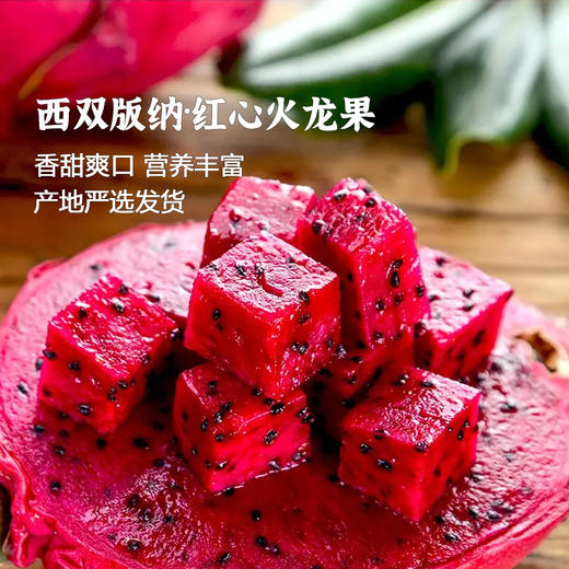 枝悦 西双版纳红心火龙果 香甜多汁 皮薄肉厚 新鲜采摘 72小时发货（果蔬生鲜签收24小时内保留完整包装面单可售后，超时不予理赔，拍下默认接受） 商品图0
