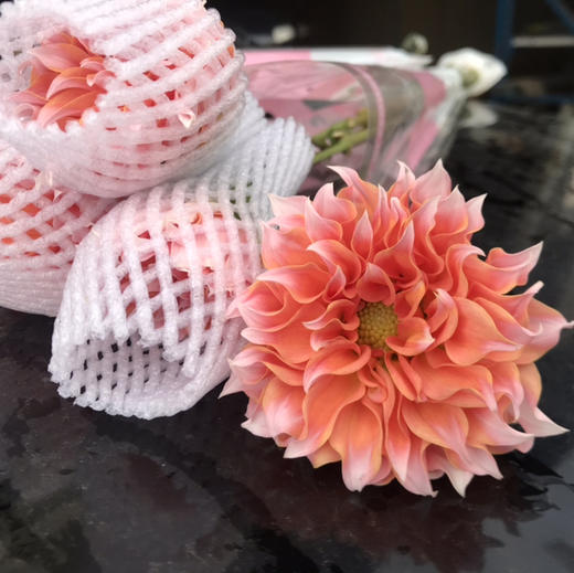 大丽花.奶油桃子 商品图2