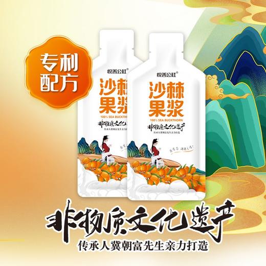 悦善公社沙棘果浆饮料营养组 商品图2