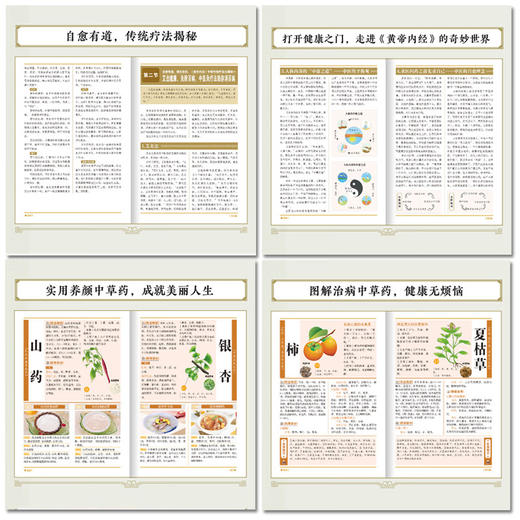 本草纲目和黄帝内经中的养生秘方 商品图2