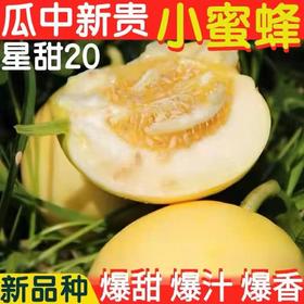 甄源|山东星甜小蜜蜂甜瓜净重4.5斤5-9个新鲜当季甜瓜