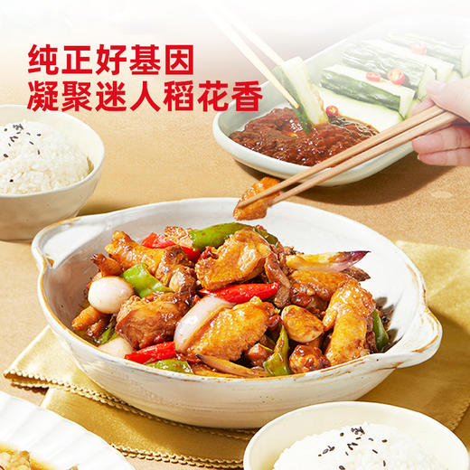 【包邮】【稻花香2号】海天地理印记有机五常大米5kg*1五常核心产区源头直采 商品图3