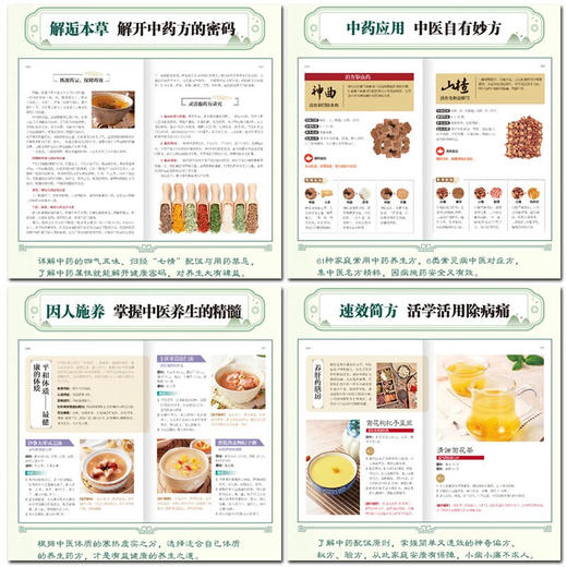 中药药方剂轻图典 精装 商品图2