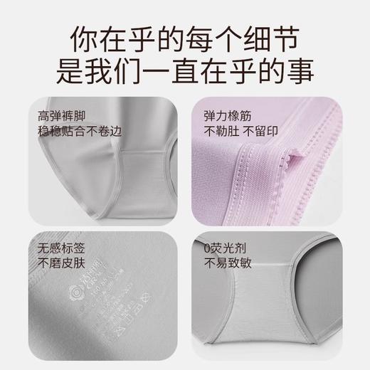 洁丽雅3条装中腰女士内裤高弹亲肤透气蕾丝边纯棉内裆三角内裤女 商品图3