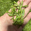 【梅家坞产区】 明前龙井 手工炒制 125g/250g 商品缩略图1