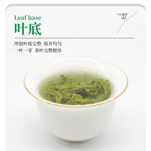 四川高山云雾茶绿茶翠芽100g铁罐装 商品图4