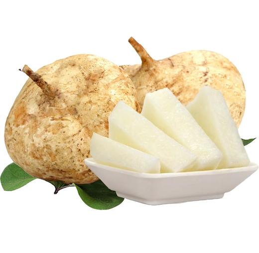 新鲜 白地瓜2斤装 商品图0