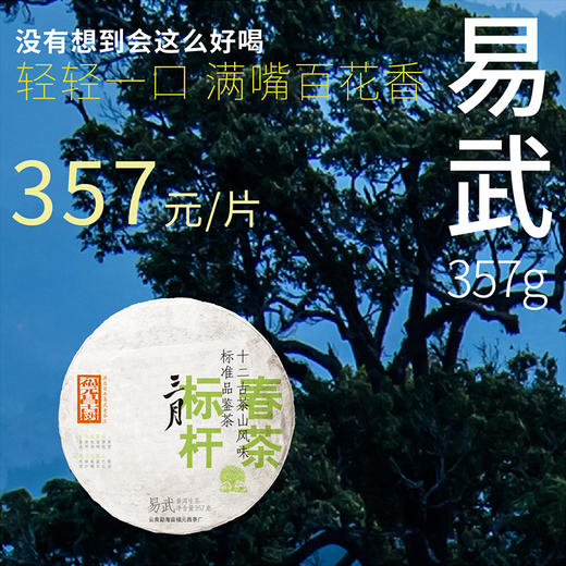 【福元昌古树】2024年三月系列-易武357g生饼 商品图0