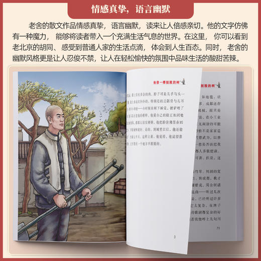 他像一棵挺脱的树 商品图2